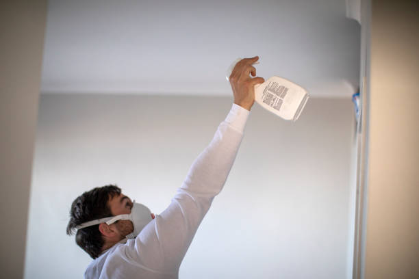 Best Insurance-Related Mold Remediation in Hornell, NY