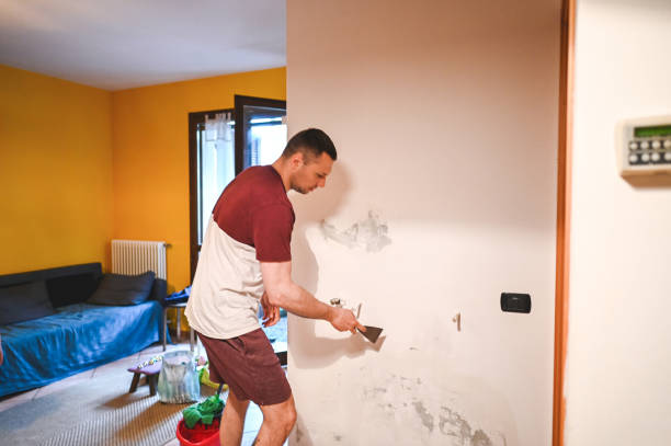 Best Bathroom Mold Remediation in Hornell, NY
